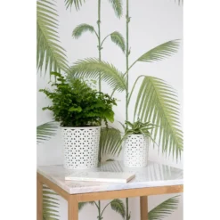 Home Storage -Home Storage 12806190 1414832992441635