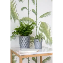 Home Storage -Home Storage 12823035 5714833228142917